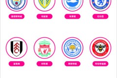 伊萨克加盟英超球队后染红事件压力分析